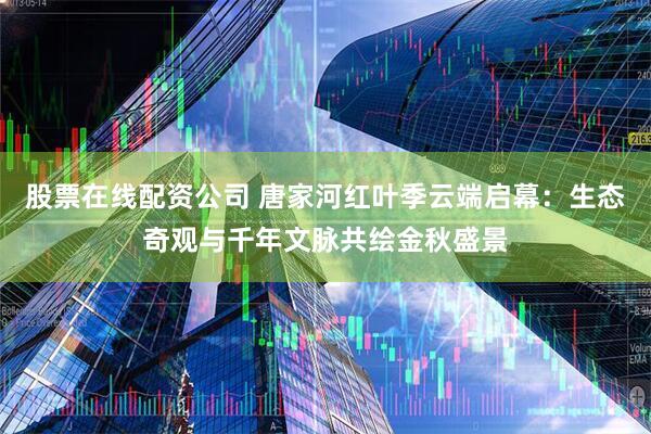 股票在线配资公司 唐家河红叶季云端启幕：生态奇观与千年文脉共绘金秋盛景