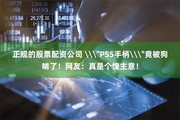 正规的股票配资公司 \＂PS5手柄\＂竟被狗啃了！网友：真是个馊主意！