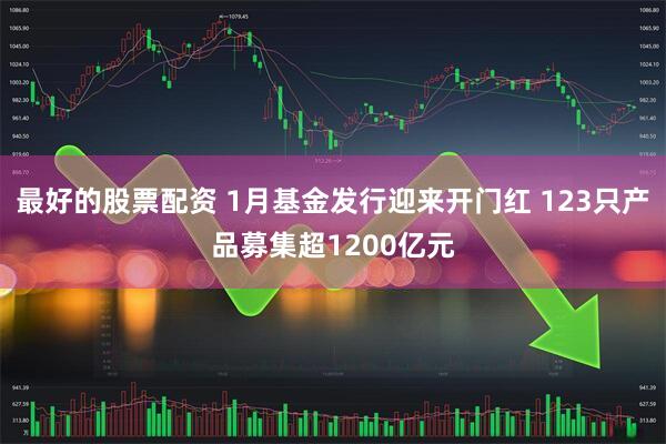 最好的股票配资 1月基金发行迎来开门红 123只产品募集超1200亿元