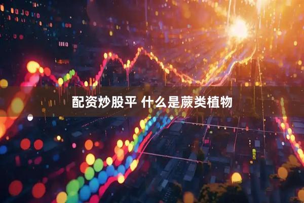 配资炒股平 什么是蕨类植物